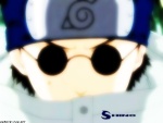 shino aburame