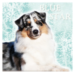 BlueStar