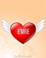 emre28869