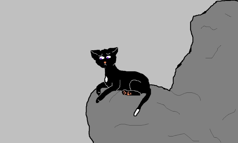 ravenpaw.bmp