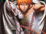 Ichigo Kurosaki