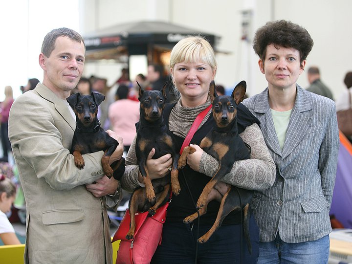 Nykštukinių pinčerių mylėtojai  World dog show Bratislava'2009