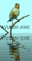 Jose80