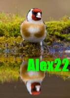 alex222