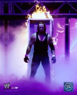 The Undertaker