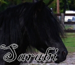 Sarabi