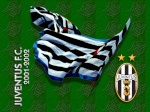 juventino2011