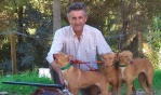 podenco