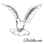 Siddharta