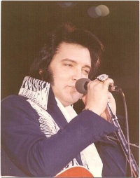 elvis