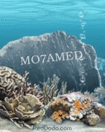 mo7amed™