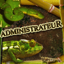 Admin