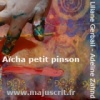 Aïcha, petit pinson