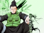 Shikamaru[saNd]