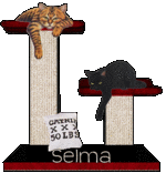 selma434