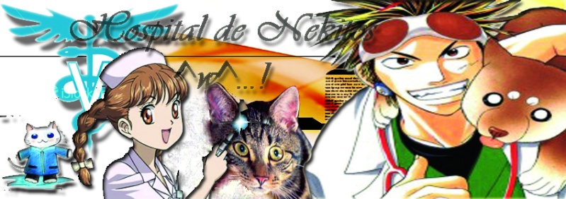 Neko-Enfermedades >.<...! Sin_ta12_800x600