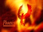 The-phoenix