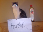 Fernor