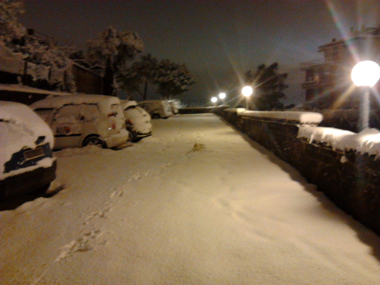 Neve a Roma febbraio 2012 - 004