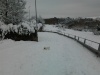 Neve a Roma febbraio 2012 - 001