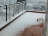 Neve a Roma febbraio 2012