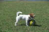 Zoe e il pallone