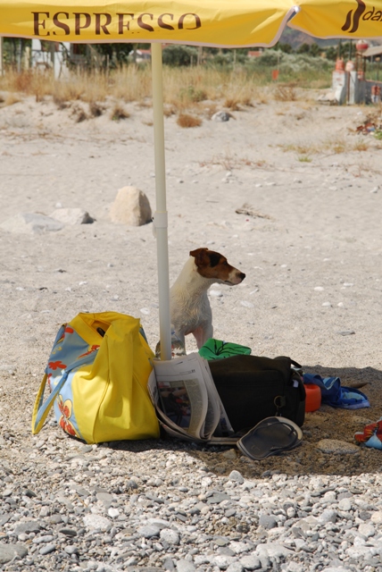 Tipo da spiaggia