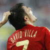 David - Villa