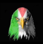 palestine falcon