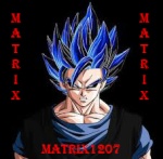 matrix1207