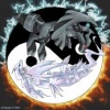 photo de zechrom et reshiram dont l'arrièere^plan est un ying yang