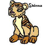 Shiena