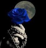 blue_rose