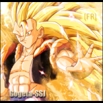 gogeta-du-10