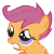 Scootaloo