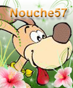 nouche57