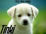 Tinki