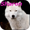 Sharon