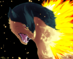 Typhlosion