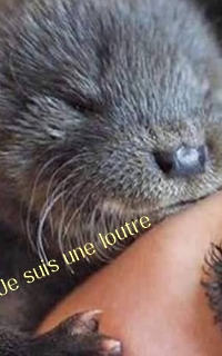 Je suis une loutre