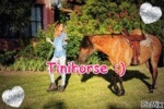 tinihorse