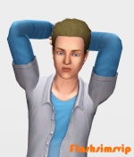 Flashsimsvip