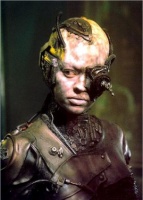 #Seven of Nine