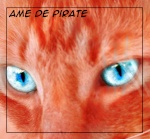 Ame de Pirate