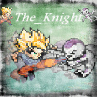 The_Knight