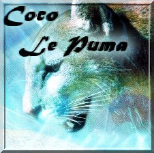 coco le puma