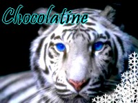 chocolatine