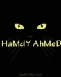 Hamdy Ahmed