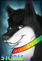 TheWolfLover88