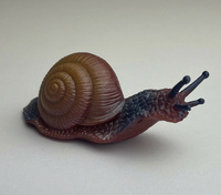 snailtime